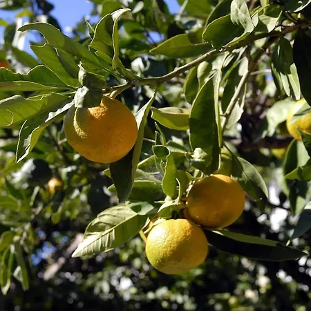 Double 4602a 게스트하우스 젤사