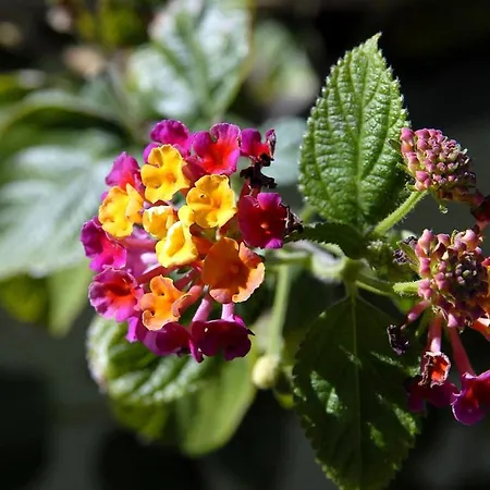 Double 4602a 게스트하우스 3*